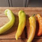 Hungarian Hot Wax Organic Pepper Plant 2 Pack