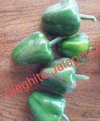 Dieghito Jalapeno Organic Pepper Plant 2 Pack Non-Isolated Seeds
