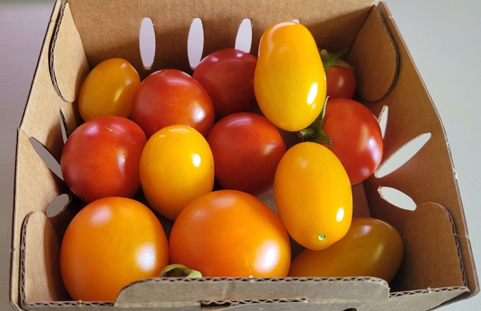 Tomato 1 pt Organic Assorted Cherry Tomatoes - A DIFFERENT CHICK FARM ...