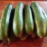 Farm Fresh Snacking Cucumber pk Organic
