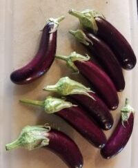 Farm Fresh Hansel Eggplant Organic