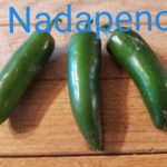Nadapeno Organic Pepper Plant 2 Pack