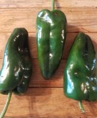 Green Poblano Peppers 8 pk OG