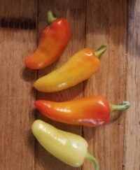 Mild Heat Shipped Peppers Assorted 1 Pound OG Free Shipping Pre-Order 2026