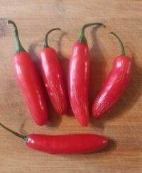 Serrano Shipped Peppers 1 Pound OG Free Shipping Pre-Order 2025