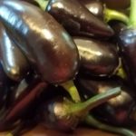 Black Hungarian Organic Pepper Plant 2 Pack