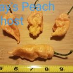 Jay's Peach Ghost Scorpion Organic Pepper Plant 2 Pack