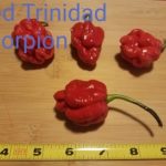 Hot Sauce Monster Assorted Peppers Unlabeled 200+ OG Free Shipping Pre-Order 2026