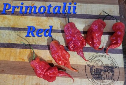 Primotalii Red Organic Pepper Plant 2 Pack