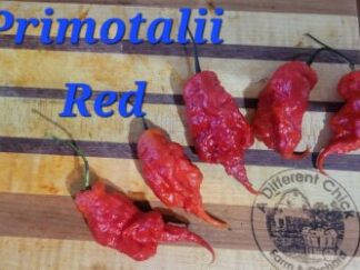 Primotalii Red Shipped Peppers 1 Pound OG Free Shipping Pre-Order 2026