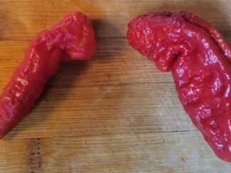 Jay's Red Ghost Scorpion Pepper Seeds (Isolated)  Organic