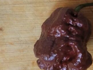 Superhot Chocolate Shipped Peppers Assorted Unlabeled 100+ pack OG Free Shipping Pre-Order 2026