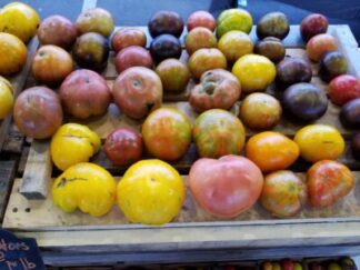 Local Pick-up Farm Fresh Tomatoes Organic