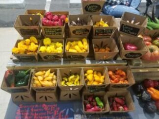 Superhot Shipped Peppers Assorted 1 Pound Unlabeled OG Free Shipping Pre-Order 2026