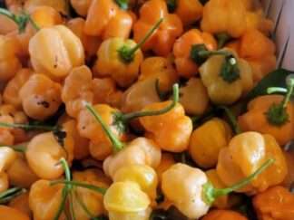 Aji Mango Shipped Peppers 6 oz OG Free Shipping Pre-Order 2026