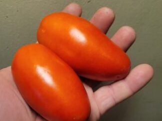 Tomato 10 lb Paste/Sauce OG