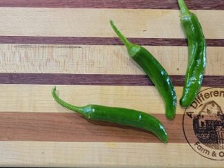 Korean Gochu Pepper Seeds (Isolated)