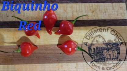 Biquinho Red Organic Pepper Plant 2 Pack