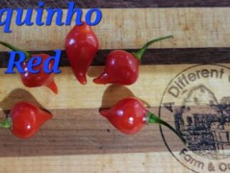 Biquinho Red Organic Pepper Plant 2 Pack