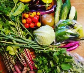 Farm Fresh Subscriptions 2026