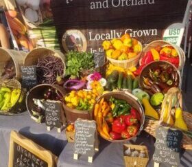 Local Pick-up Farm Fresh Peppers Organic