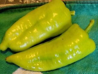 Frying/Stuffing Pepper Collection 4 Pack OG