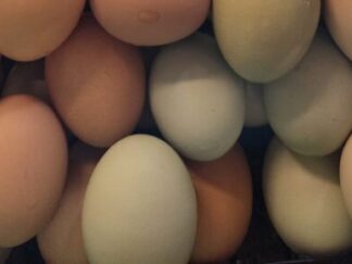 Pasture Raised Organic Fed Eggs From Healthy & Happy Hens Weekly 26 Week Subscription  2026