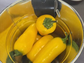 Jalapeno Lemon Spice Shipped Peppers 1 Pound OG Free Shipping