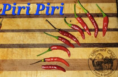 Piri Piri  Organic Pepper Plant 2 Pack