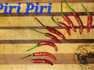 Piri Piri  Organic Pepper Plant 2 Pack