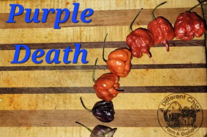 Purple Death Organic Pepper Plant 2 Pack