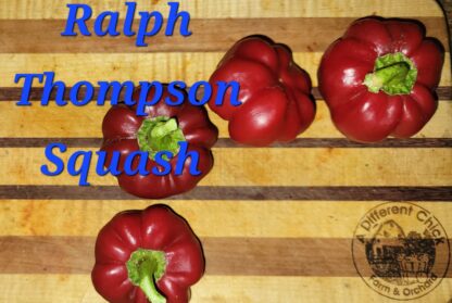 Ralph Thompson Squash Organic Pepper Plant 2 Pack