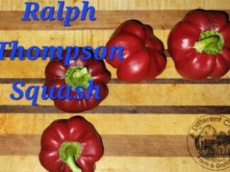 Ralph Thompson Squash Organic Pepper Plant 2 Pack