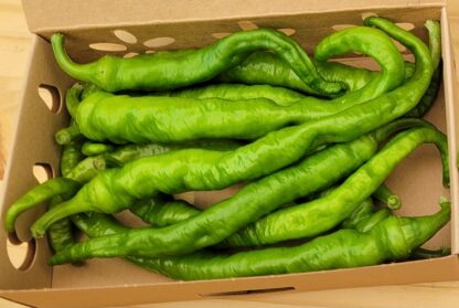 Cayenne Pepper (Green) Local Pick-up Assorted 1 pt OG Coming Soon