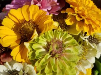 Monthly Flower Bouquet Subscription