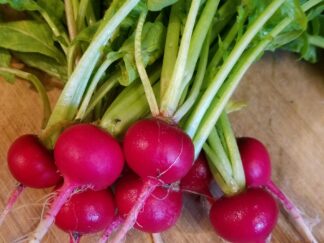 Radishes Bunched Organic