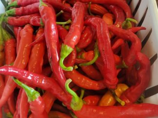 Red Cayenne Peppers 10 Pounds OG